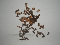 Niete 4  X 10 mm Bremsbelagnieten